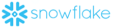 snowflake-snowstorm_2x_1_ copy